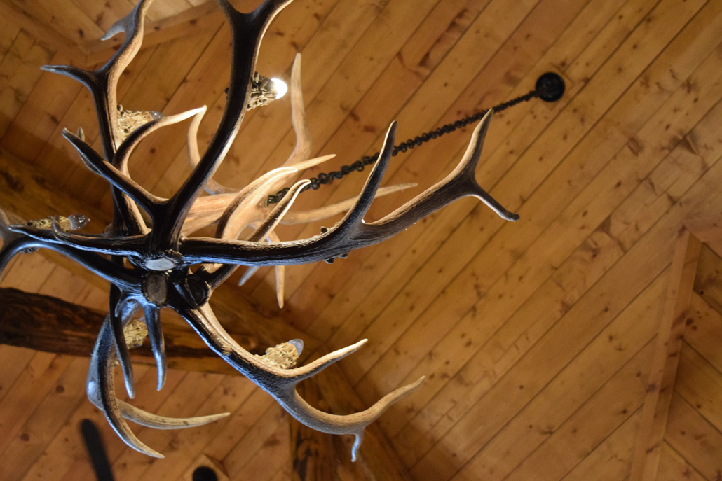 Chandelier made from whitetail deer antlers.