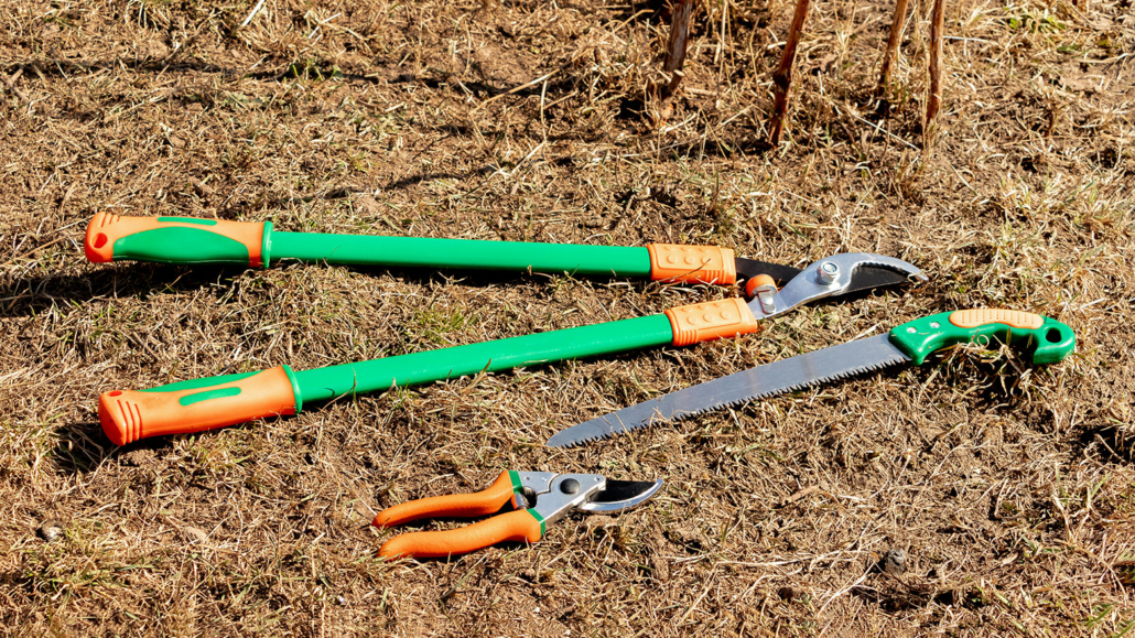 Shears And A Pruning Saw For Trimming Trees 1030x579 